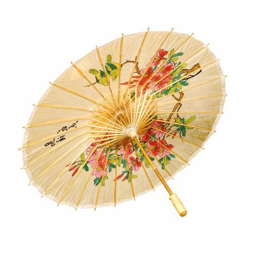 Kínai napernyő
