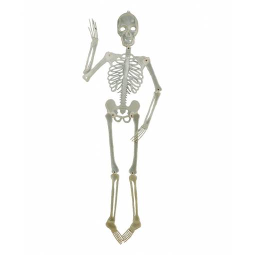 Foto - Függesztett dekoráció - Világító csontváz, 150 cm